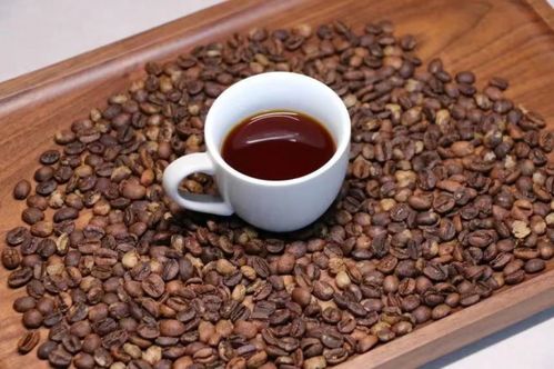 保山小粒咖啡榮獲 全國名特優(yōu)新農(nóng)產(chǎn)品 稱號(hào)