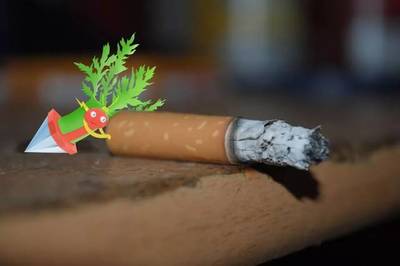 許昌電石獸:河南籍&ldquo;寶可夢&rdquo;,實(shí)力堪比皮卡丘!丨百城神獸圖鑒