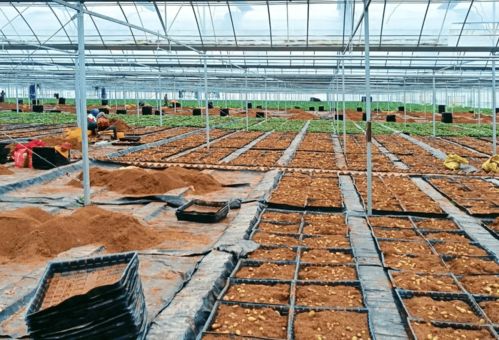 速讀市委十五屆二次全會暨全市經濟工作會議報告